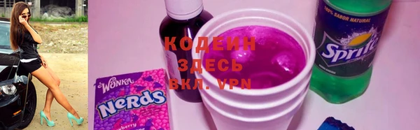 МДПВ Бородино