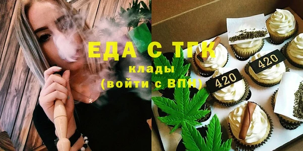 МДПВ Бородино