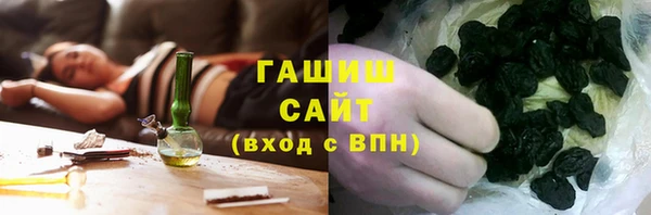 МДПВ Бородино