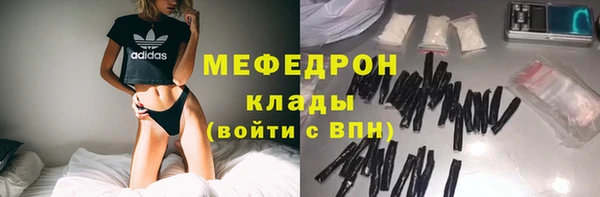 МДПВ Бородино