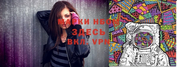 МДПВ Бородино