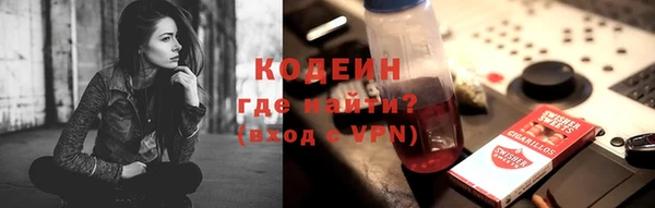 МДПВ Бородино