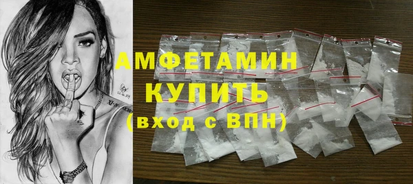 МДПВ Бородино