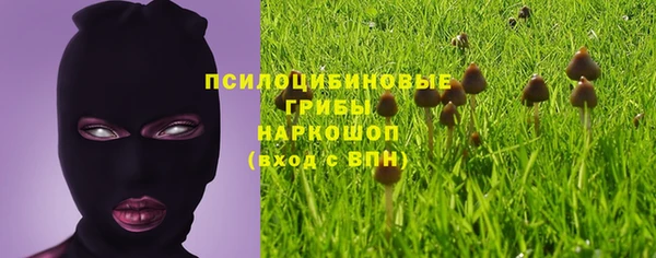 МДПВ Бородино