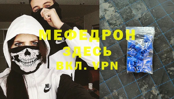 МДПВ Бородино