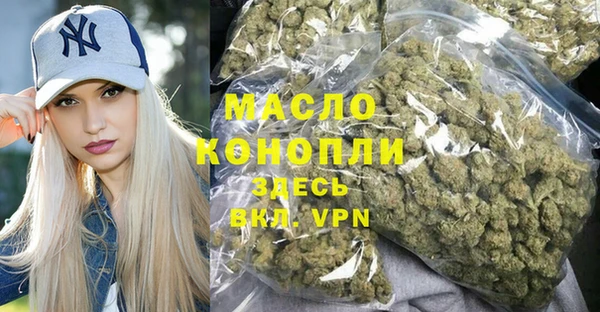 МДПВ Бородино