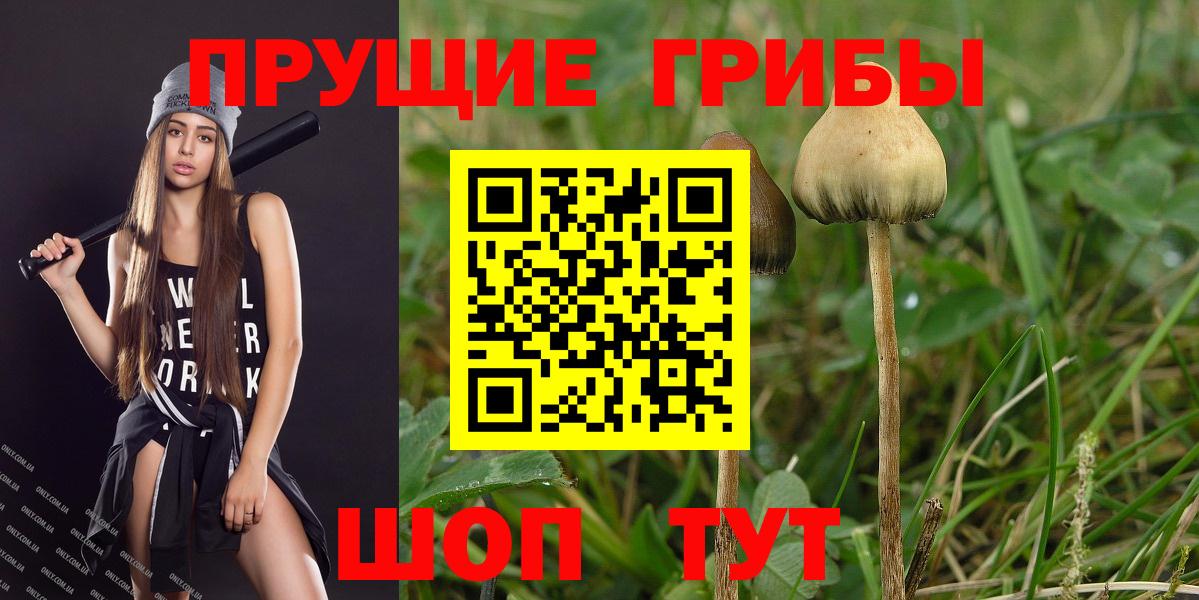 Псилоцибиновые грибы мицелий  Галлюциногенные грибы Magic Shrooms  Вход с VPN  Выборг 