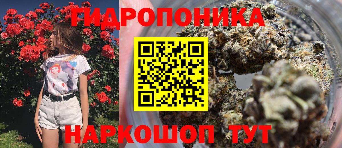Конопля ГИДРОПОН Выборг